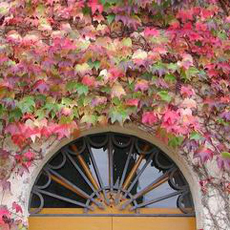 Castello Di Grotti Guest House Corsano  Bilik gambar