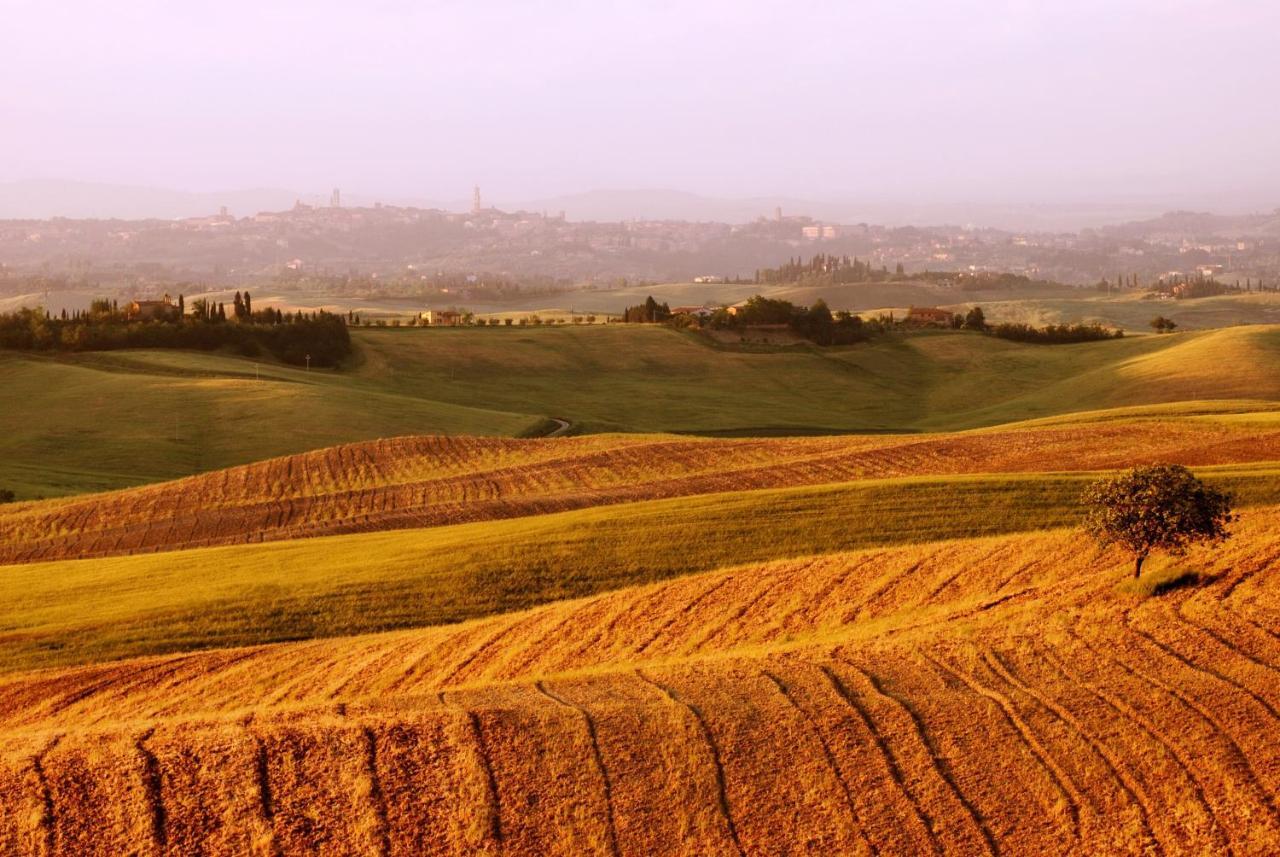 Castello Di Grotti Guest House Corsano  Bilik gambar